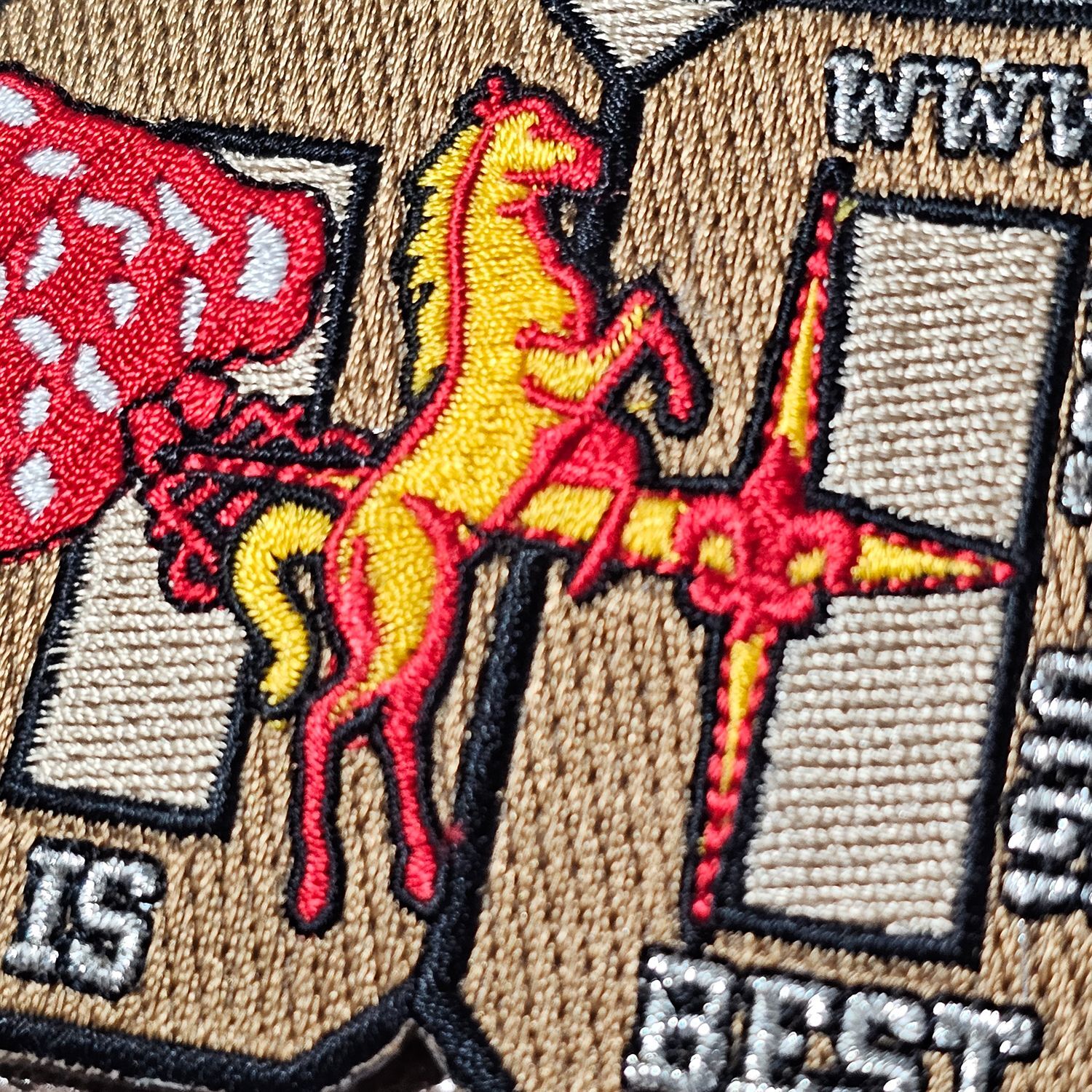 Western Region 100 Years of Scouting 1910-2010 Embroidered Patch - Image 2