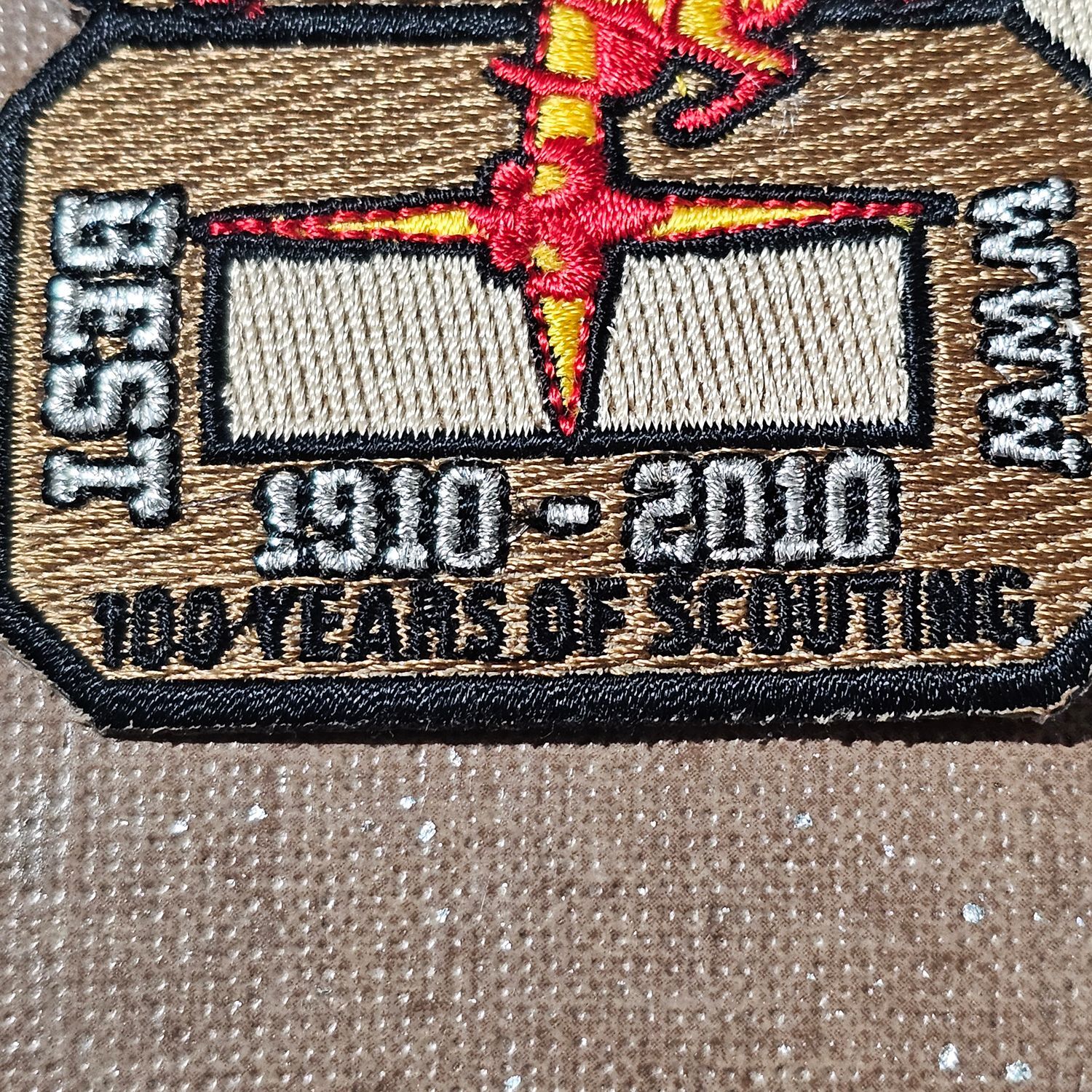 Western Region 100 Years of Scouting 1910-2010 Embroidered Patch - Image 3